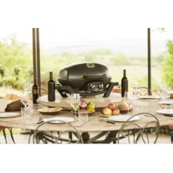Mobiler Gasgrill Napoleon TravelQ PRO 285 -Online Camping Angebote mobiler gasgrill napoleon travelq pro285 black gasgrills 9 10545