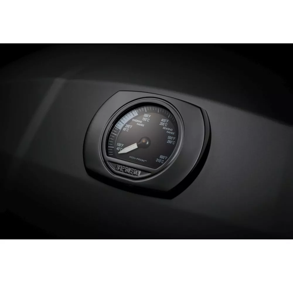 Mobiler Gasgrill Napoleon Phantom TravelQ PRO285X 9 Mobiler Gasgrill Napoleon Phantom TravelQ PRO285X – Bild 7