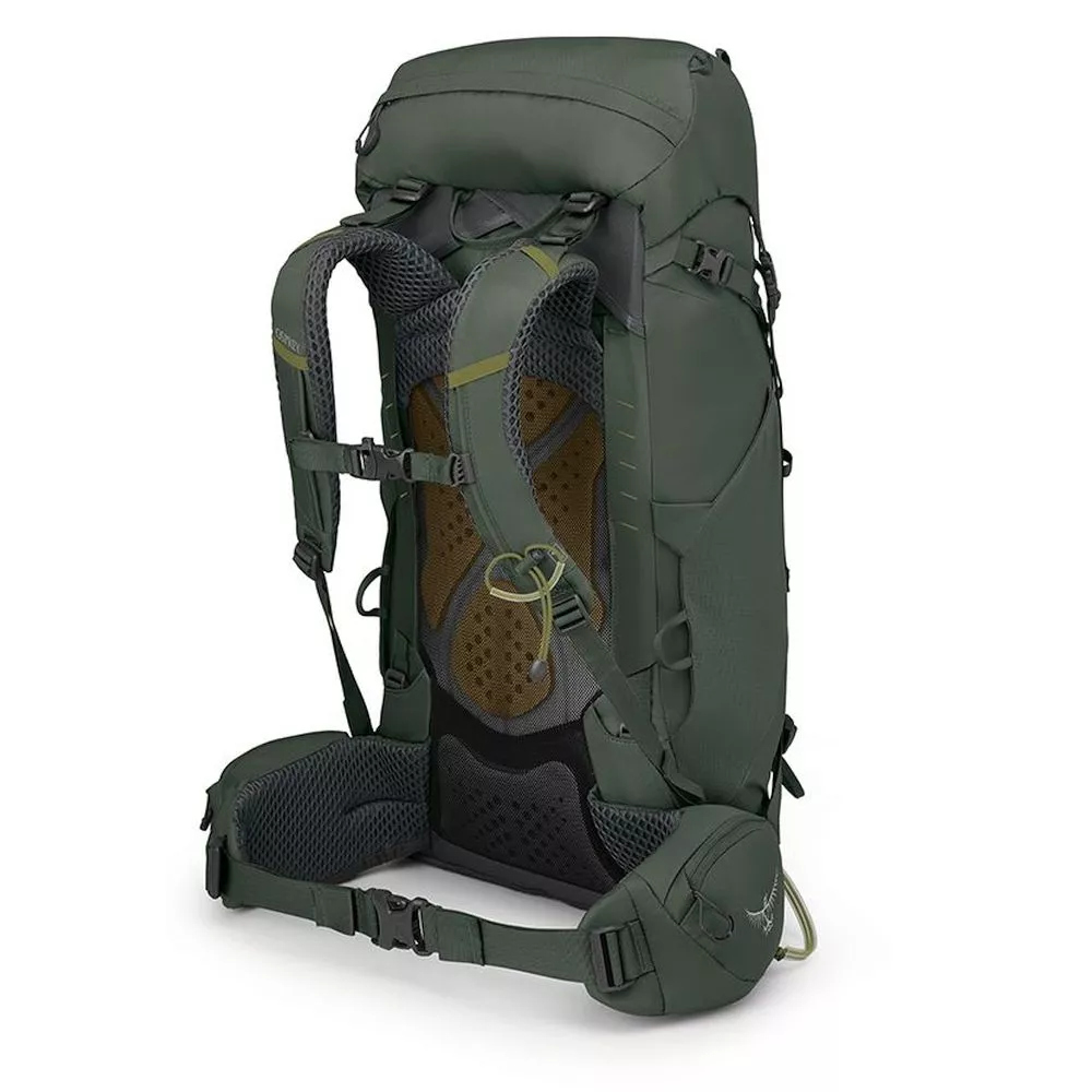 Trekkingrucksack Osprey Kestrel 38 S/M, Bonsai Green 6 Trekkingrucksack Osprey Kestrel 38 S/M, Bonsai Green – Bild 4