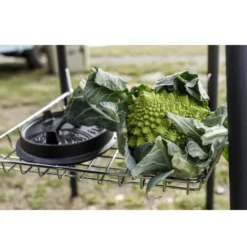 Petromax Ablagekorb 45 Cm 9 Petromax Ablagekorb 45 Cm -Online Camping Angebote stauraum gastisch ge45 s stahl ablageflaeche fuer kochutensilien petromax 1000 2 25976